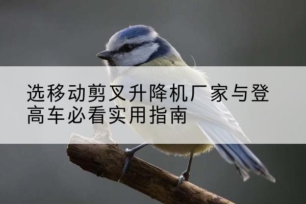 洪江电动升降机厂家-选移动剪叉升降机厂家与登高车必看实用指南
