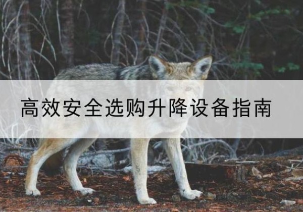 洪江升降货梯厂家推荐-*安全选购升降设备指南