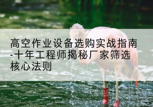 洪江剪叉式升降机厂家-高空作业设备选购实战指南-十年工程师揭秘厂家筛选核心法则